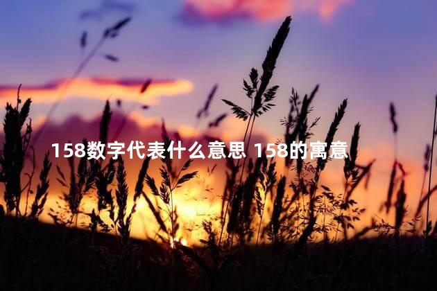 158数字代表什么意思 158的寓意和象征